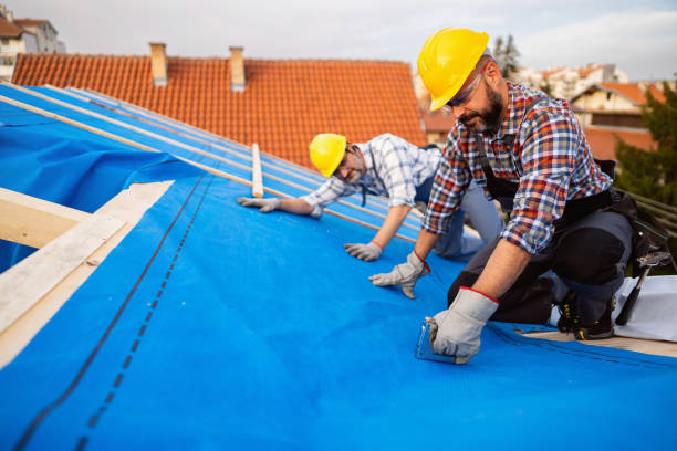 Best Best Roofing Contractors  in Hainesvle, IL