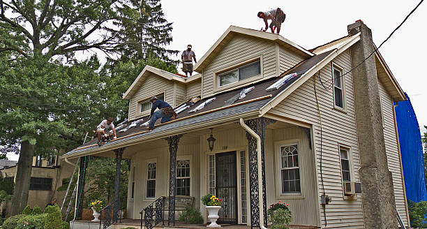 Roof Waterproofing Services in Hainesville, IL