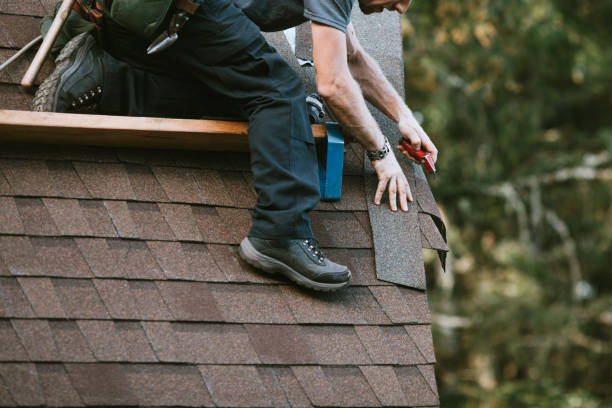 Best Roof Leak Repair  in Hainesvle, IL