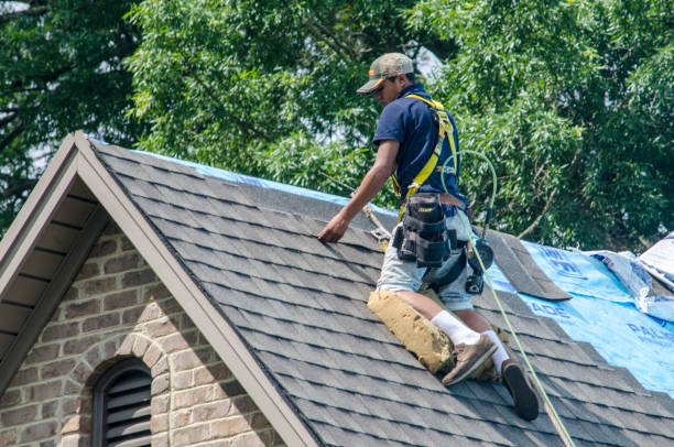 Best Residential Roofing Contractor  in Hainesvle, IL